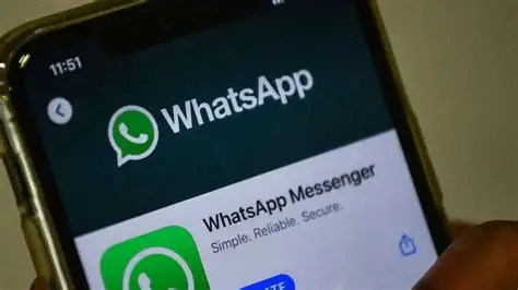 WhatsApp自动下载照片太烦人？教你精准关闭