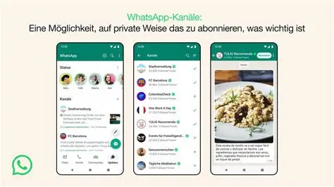 WhatsApp电脑版真香！但这些坑千万别踩