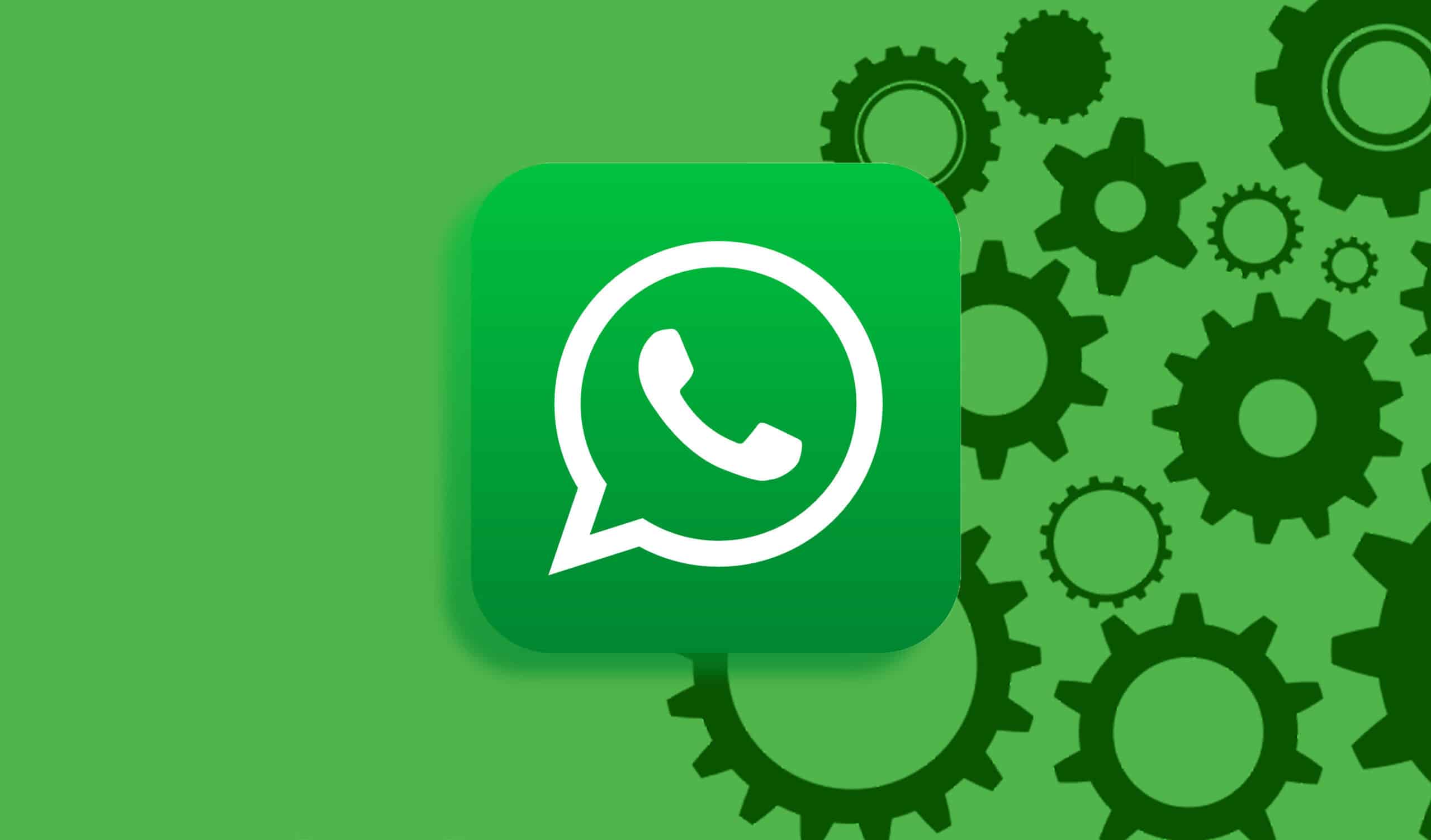 电脑装WhatsApp最全指南：从下载到同步消息一次搞定